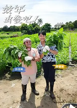 范文提纲样本四配图:分镜格时序与色指定对照的分析卡片